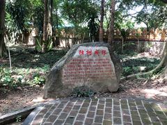 -瑞丽独树成林风景区