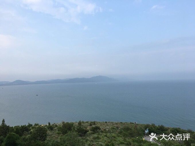 如家宠物家庭式寄养训练图片