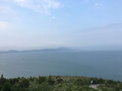 -如家宠物家庭式寄养训练
