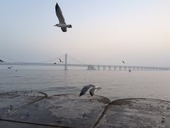 -星海广场