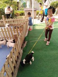 -萌宠亲子动物乐园(槐房万达店)