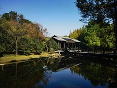 -长广溪湿地公园