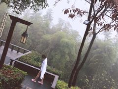 -天目湖涵田半山温泉