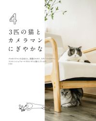 -ZOO KIDS象集摄影工作室(西城公馆店)