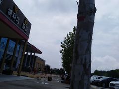 -滑县服务区便利店