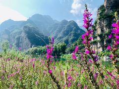-孤山寨风景区