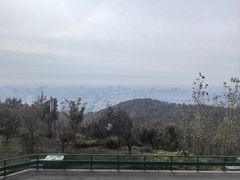 -大伊山景区