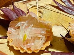 -天水蔬食料理(树德之光店)