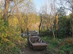 -上海吴淞炮台湾国家湿地公园
