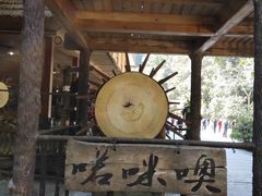 -西双版纳原始森林公园
