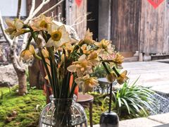 -樹下遇见树·咖啡