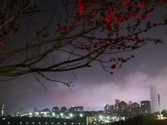 -青岛海景花园大酒店