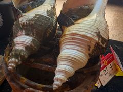 炭烧响螺-吴记富苑(朝阳店)