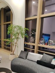 -JNK皮肤管理中心