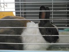 -UltraForce超源健身私教工作室(长楹天街精品店)