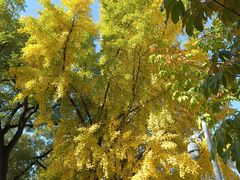 -北京石刻艺术博物馆(五塔寺)