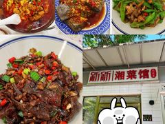 -新新湘菜馆(新中街二条店)