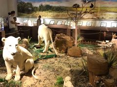 -陕西自然博物馆