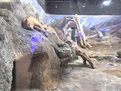 -西安曲江海洋极地公园