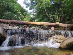 -陕西省红河谷森林公园