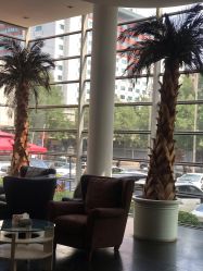 -漂亮宝贝美容美发