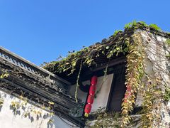 -绍兴鲁迅故里·沈园景区