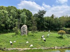 -杭州野生动物世界