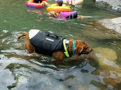 -将军关探险漂流