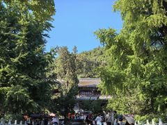 -潭柘寺景区