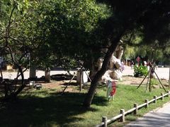 iphone_upload_pic-沈阳南湖公园