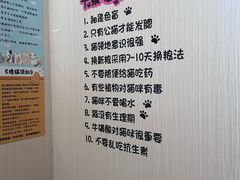 -唐小姐の私宠·宠物洗护美容·撸猫馆·购宠(周浦万达旗舰店)