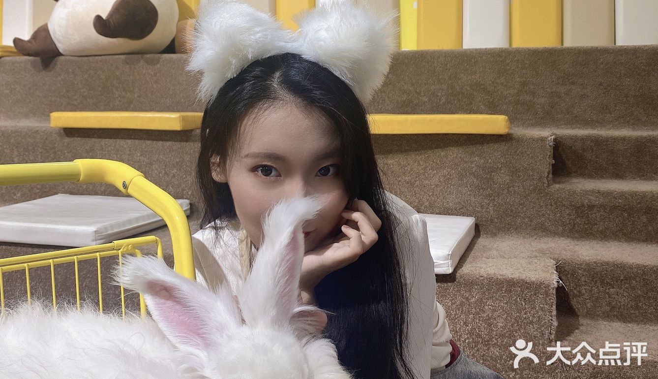 厦门首家小浣熊🦝+🐰新奇萌宠主题馆