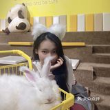 厦门首家小浣熊🦝+🐰新奇萌宠主题馆