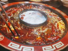 -渝大狮毛肚老火锅(普陀店)
