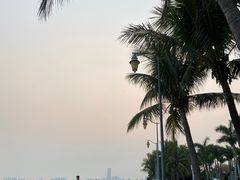 -深圳湾公园(南山区)