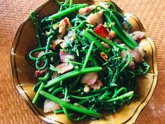 蕨菜炒酸肉-傣泐金湾餐厅