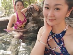 -云涛森林温泉