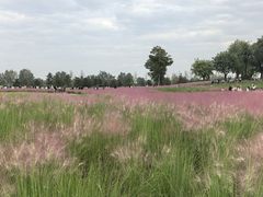 -汉长安城未央宫国家考古遗址公园