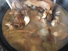 -蘑统田下·野生菌火锅