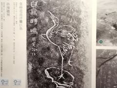 -白鹤梁水下博物馆