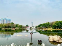 -映月湖公园