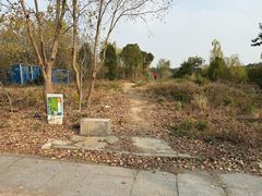 -昆山城市生态森林公园