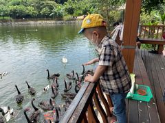 -泉州海丝野生动物世界