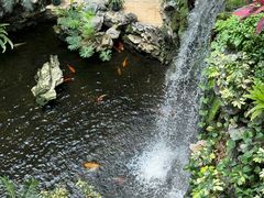 -广州白天鹅宾馆