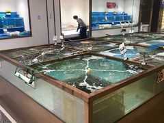 水产区-七鲜超市(通州ONE店)