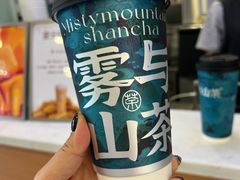 -雾与山茶(大禹城店)