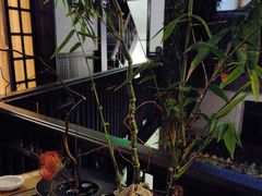 -31号公馆(黄兴广场白果园店)