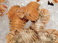 -北上海大酒店-北鸥西餐厅