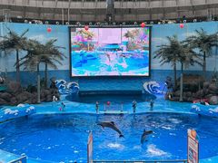 -海合安成都极地海洋公园