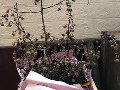 -弘法寺斋菜馆素食